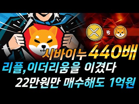   시바이누코인 시바이누 2024년 440배상승 전망 이더리움 리플 비트코인다음은 시바이누다