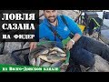 Ловля сазана на фидер на Волго-Донском канале осенью: Рыболовный дневник