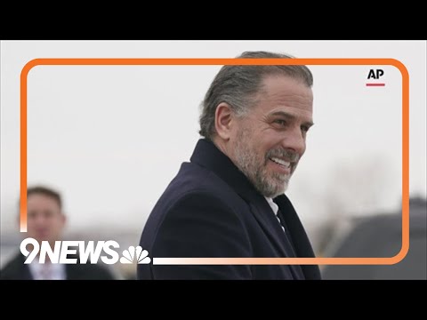 President Biden's son