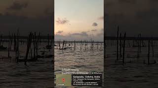 #satapada #travel #nature #boating #dolphin #beach #love nature#nature camp #
