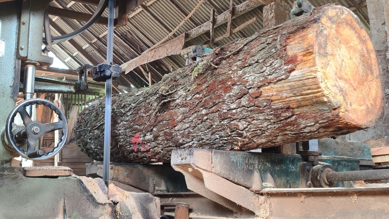 This is the process of sawing pine wood in a simple way - YouTube