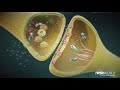 Descripcin 3d4k de la neuromodulacin no invasiva nesa 2020 es feat nesa world 4 min