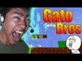 Gato Bros (Syobon Action) en español por fernanfloo