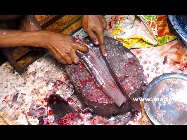 FISH CUTTING AND CLEANING | STREET FOODS IN INDIA street food