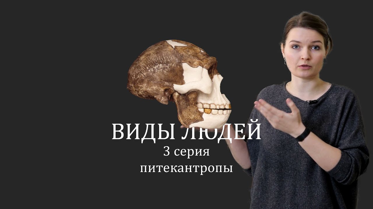 ВИДЫ ЛЮДЕЙ. 3 серия Питекантропы. Елена Сударикова - YouTube