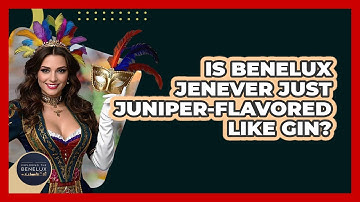Is Benelux Jenever Just Juniper-flavored Like Gin? - Exploring The Benelux