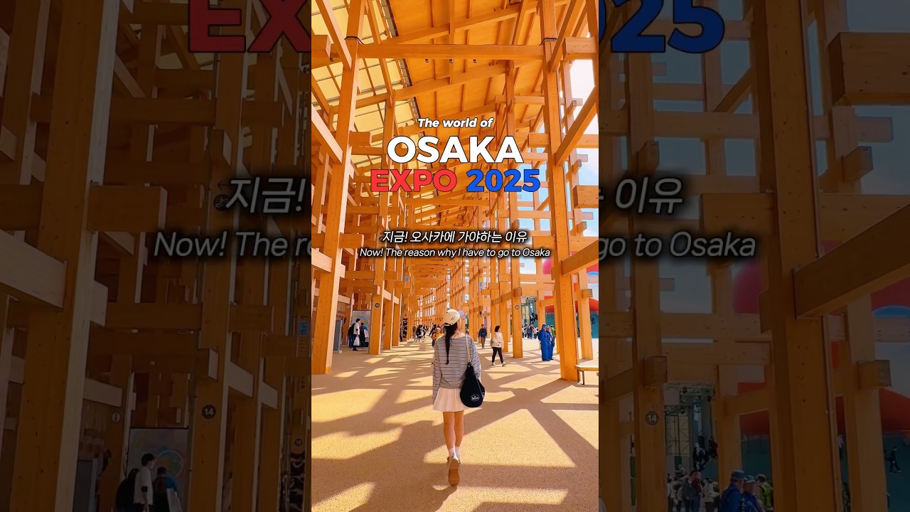 지금 오사카에 가야하는 이유‼️🌏 #오사카 #오사카엑스포 #osakaexpo