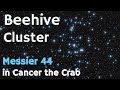 Beehive Cluster and Constellations Quiz