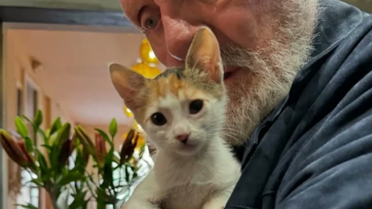 Anthony Hopkins, 86, shares adorable insight into his private life with 67 year old wife Stella