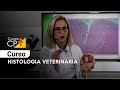 Histologia Veterinária l Cursos CPT