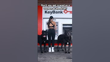Cane Corsos Protect Woman at ATM #crime #dog #shorts