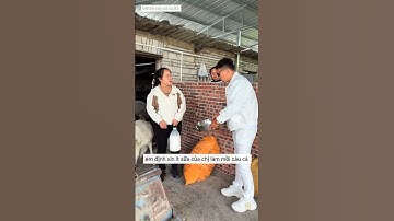 anh cần thủ xin sữa dê của chị gái xinh đẹp để làm mồi câu cá và cái kết #fishing #short #cauca