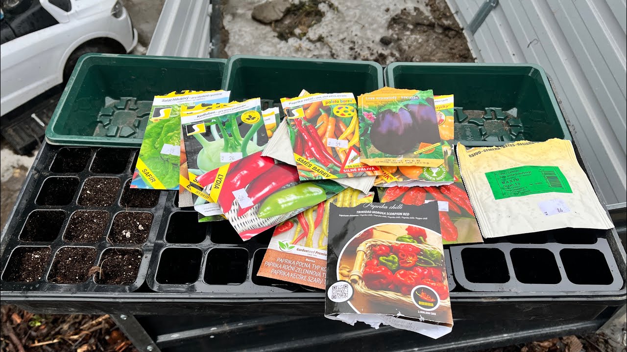 První únorový výsevy ze zbytků