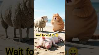 #funny #shortsviral #ai #shortvideo #cute#catvideos #bolleywoodsong #naatsharif #comedy #blog #trave