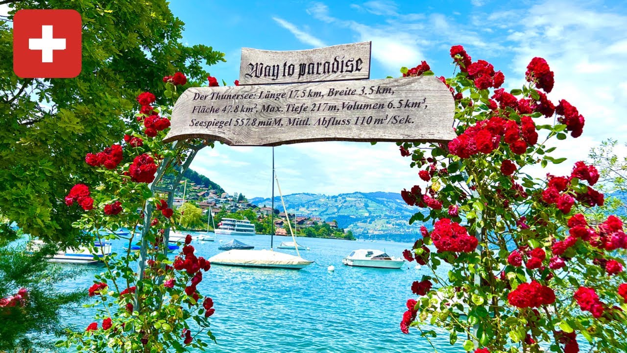 Faulensee , Amazing Village in Switzerland || Swiss Valley on Lake Thun