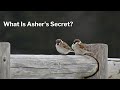 What Is Asher's Secret?