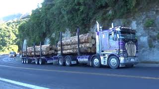 A windy summer morning on the Napier Taupo road