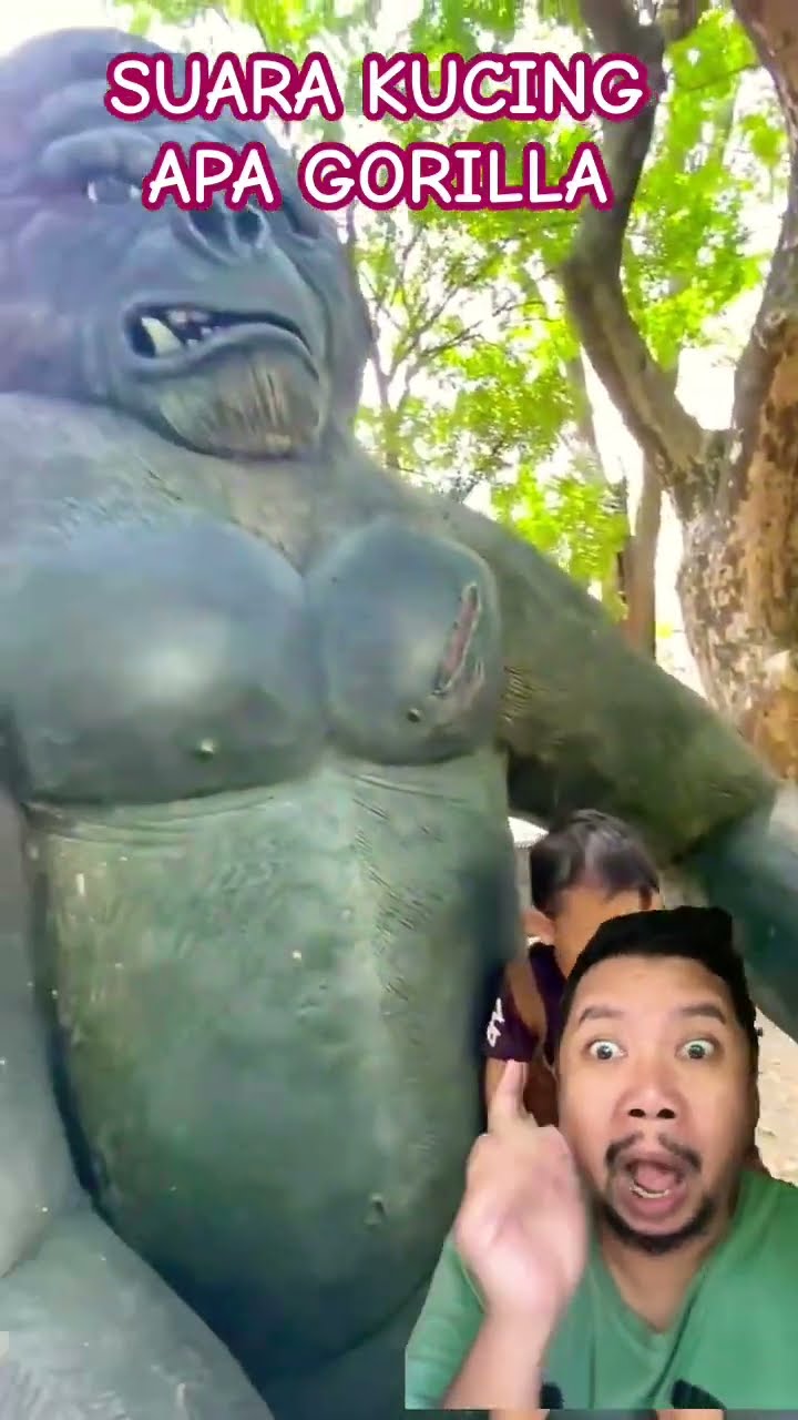 CUMAN PATUNG GORILLA!!!?? #gorilla #badut #lucu #funny #anak #shorts