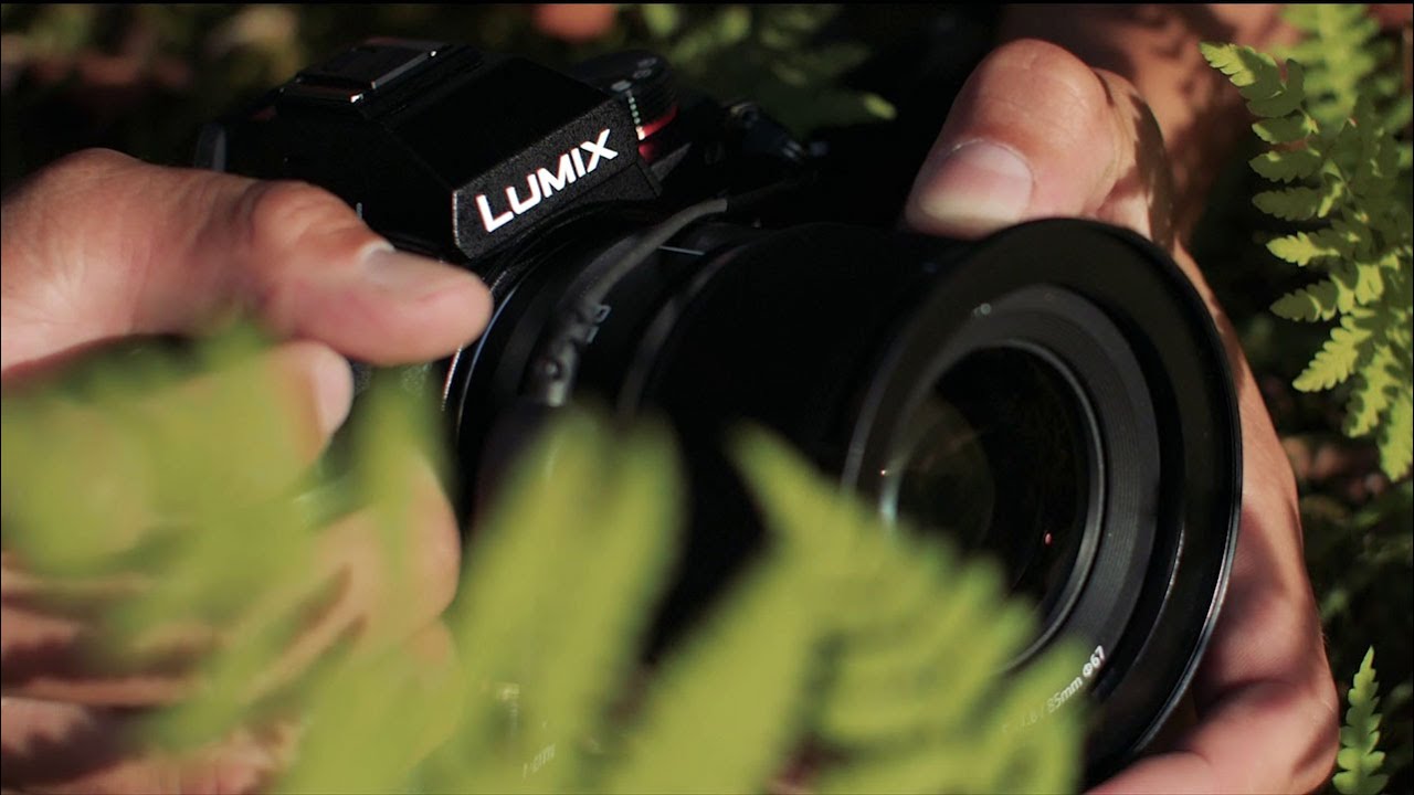 LUMIX S F1.8単焦点レンズシリーズ映像作品『Shapes』【パナソニック