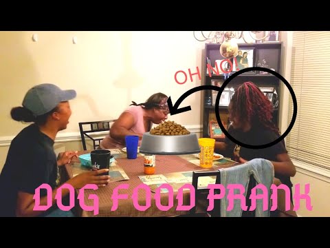 dog-food-prank-(so-hilarious)