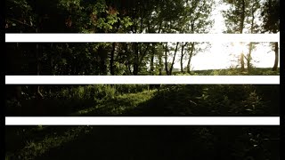 Felicity - MOYOGI