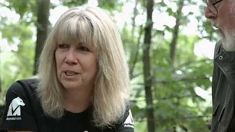 Jill Robinson: to the Moon and Back (Alternative T...
