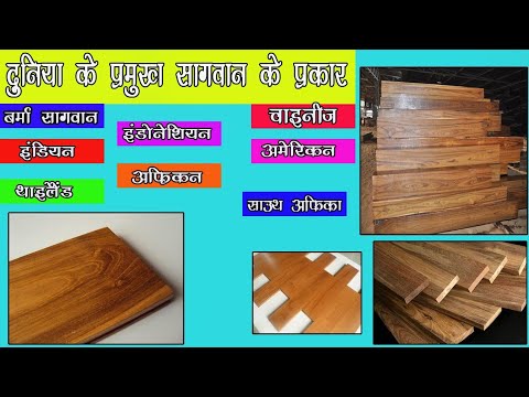 Major Type Of Teak Wood In World || सागवान के प्रकार || कितनी