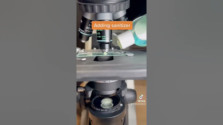 Bacteria VS hand sanitizer under the microscope! - DayDayNews