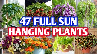 47 Full Sun Outdoor Hanging Plants | Outdoor Hanging Basket Plants | Plant and Planting