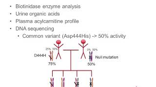 Biotinidase Deficiency