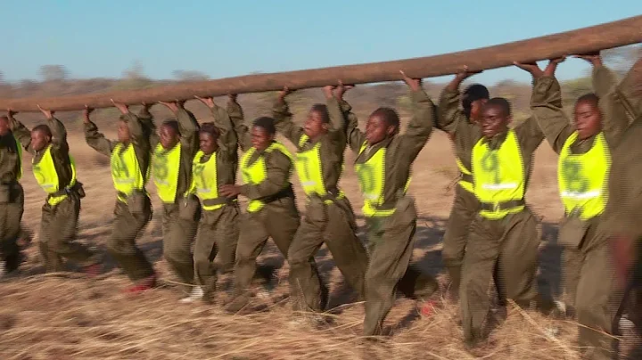The 'Brave Ones': Zimbabwe's women-only rangers fighting poaching | AFP