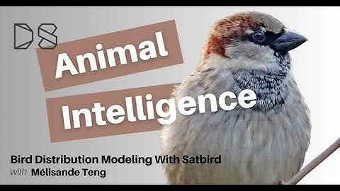 Bird Distribution Modeling with Satbird