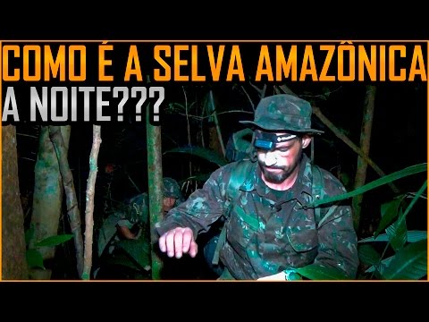 Vídeo: Como Passar A Noite Na Floresta