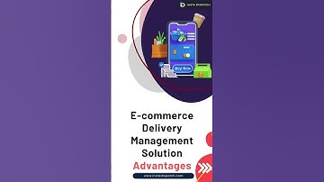 Seamless E-commerce Delivery Management Solution with InstaDispatch