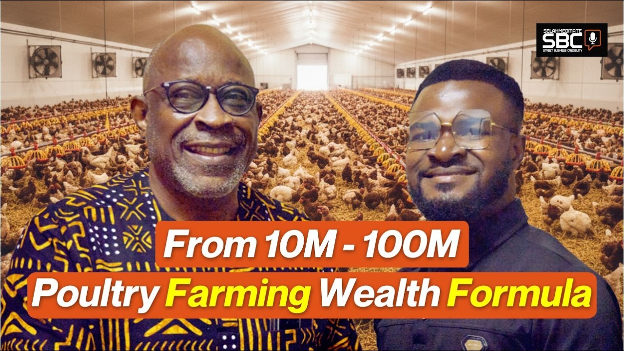 Still from How This Farmer Turned Organic Chicken Farming Into a Multi-Million Agribusiness