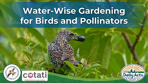 Water-wise Gardening for Birds and Pollinators - w...