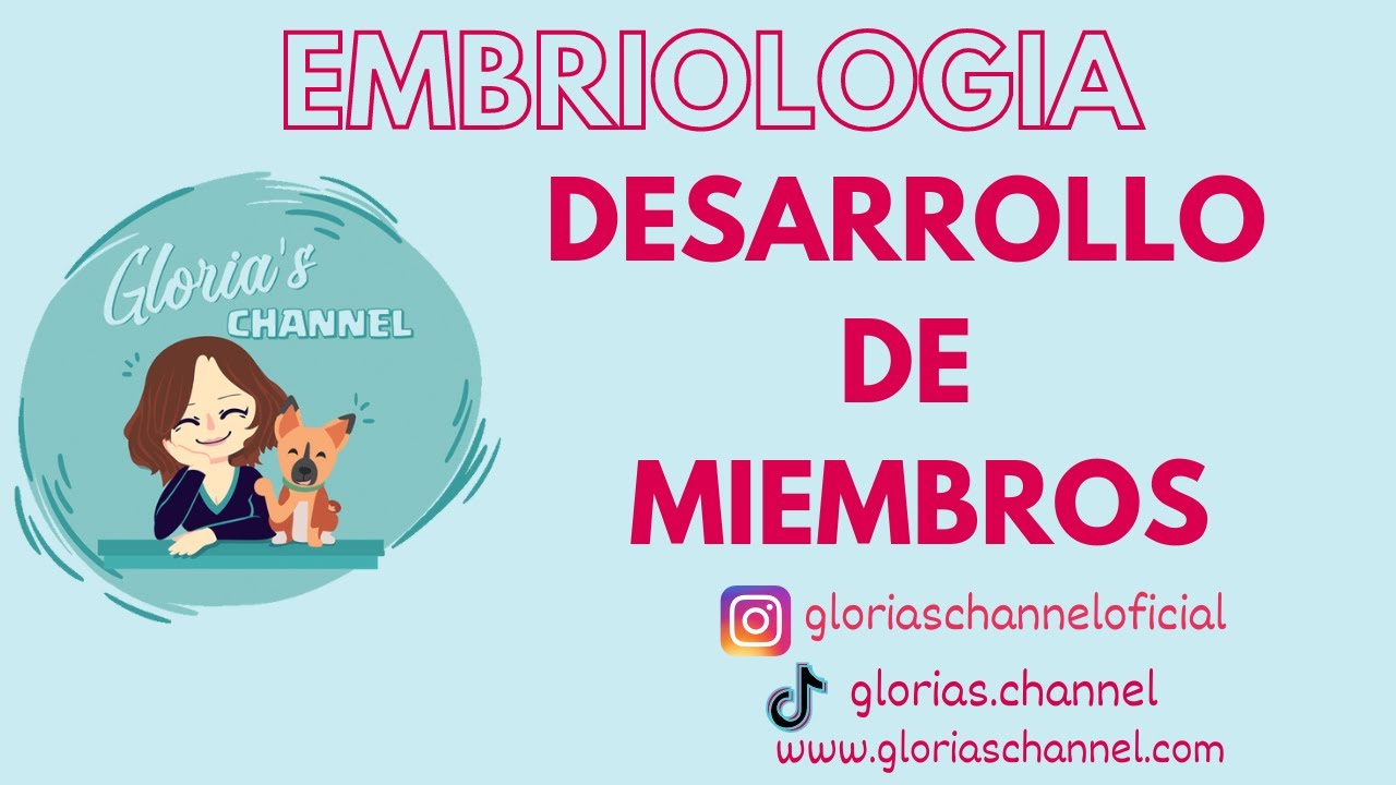 Embriología humana: Desarrollo de miembros INTRO