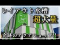 レイアウト水槽が超大量‼絶対に感動する奇跡のアクアショップ‼『AQUA Shop U-HA』 aquarium アクアリウム 熱帯植物 熱帯魚 水草 流木 メダカ