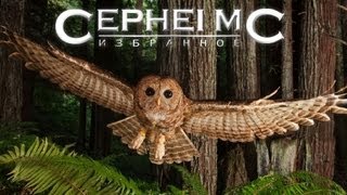 Убойный Клубняк!!! Все лучшее в одном! Убойный Клубняк!!! Все лучшее в одном!