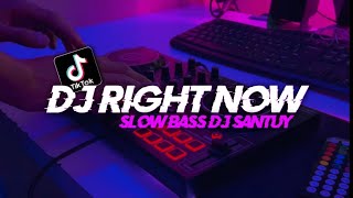 DJ Right Now slow remix || adem ditelinga Terbaru 2023 - DJ SANTUY