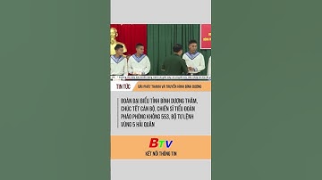 Đoàn đại biểu tỉnh Bình Dương chúc Tết Tiểu đoàn Pháo phòng không 553, Bộ Tư lệnh Vùng 5 Hải quân