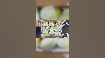 𝐩𝐚𝐜𝐤𝐢𝐧𝐠 𝐞𝐱𝐩𝐨𝐫𝐭 𝐦𝐚𝐧𝐠𝐨 #short #video #viral (𝐋𝐚𝐱𝐦𝐢 𝐟𝐫𝐮𝐢𝐭 𝐄𝐱𝐩𝐨𝐫𝐭𝐬)