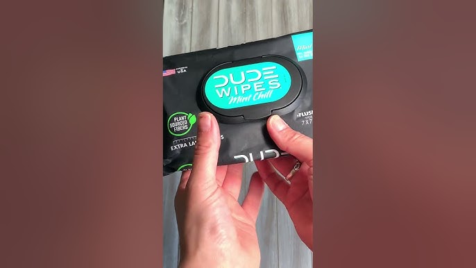 DUDE Wipes Flushable Wipes Dispenser, Unscented Wet Wipes with