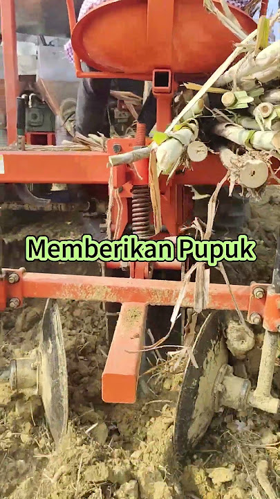 Menanam Tebu #Tebu #CaraMenanamTebu #BudidayaTebu #MesinPertania