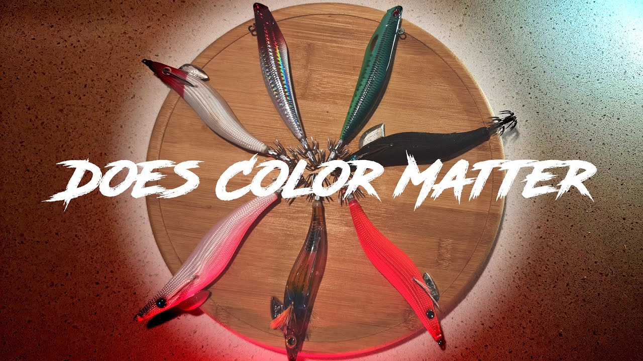 Which Squid jig is the best? #westernportbay - YouTube