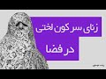 زنای سر کون لختی در فضا زینب موسوی زنای سر کون لختی در فضا زینب موسوی