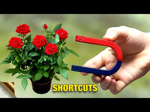 GARDENING SHORTCUTS TO SAVE TIME AND MONEY in 2024 | #GARDENING HACKS SERIES