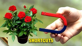 GARDENING SHORTCUTS TO SAVE TIME AND MONEY in 2024 | #GARDENING HACKS SERIES by GARDEN TIPS 9,611 views 5 months ago 10 minutes, 33 seconds