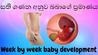 සති ගණන අනුව බබාගේ ප්‍රමාණය | Week by week baby development |  foetal development | Sinhala