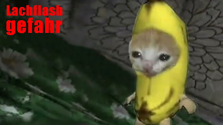 Meine Zuschauer haben mir mal wieder Katzenbilder geschickt...